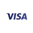 ACE291 pays with Visa